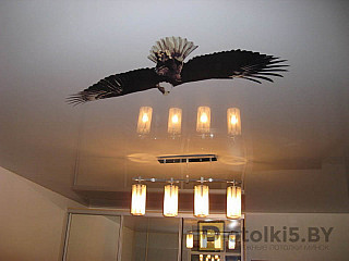 Натяжной потолок в квартиру с фотопечатью "Черный орел"