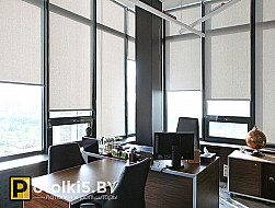 Рулонная штора высокого качество в офис 44