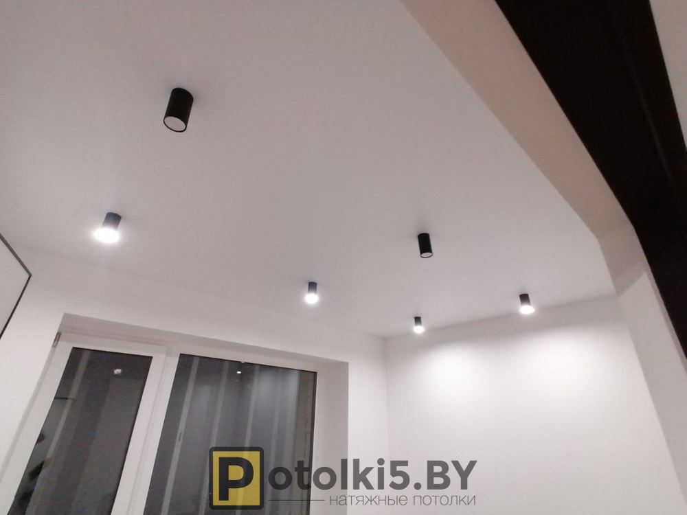 Потолок с нишей для трековой системы освещения
